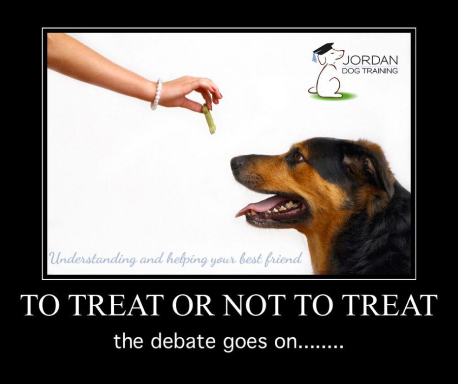 Positive Reinforcement Dog Training Jordan Dog Training