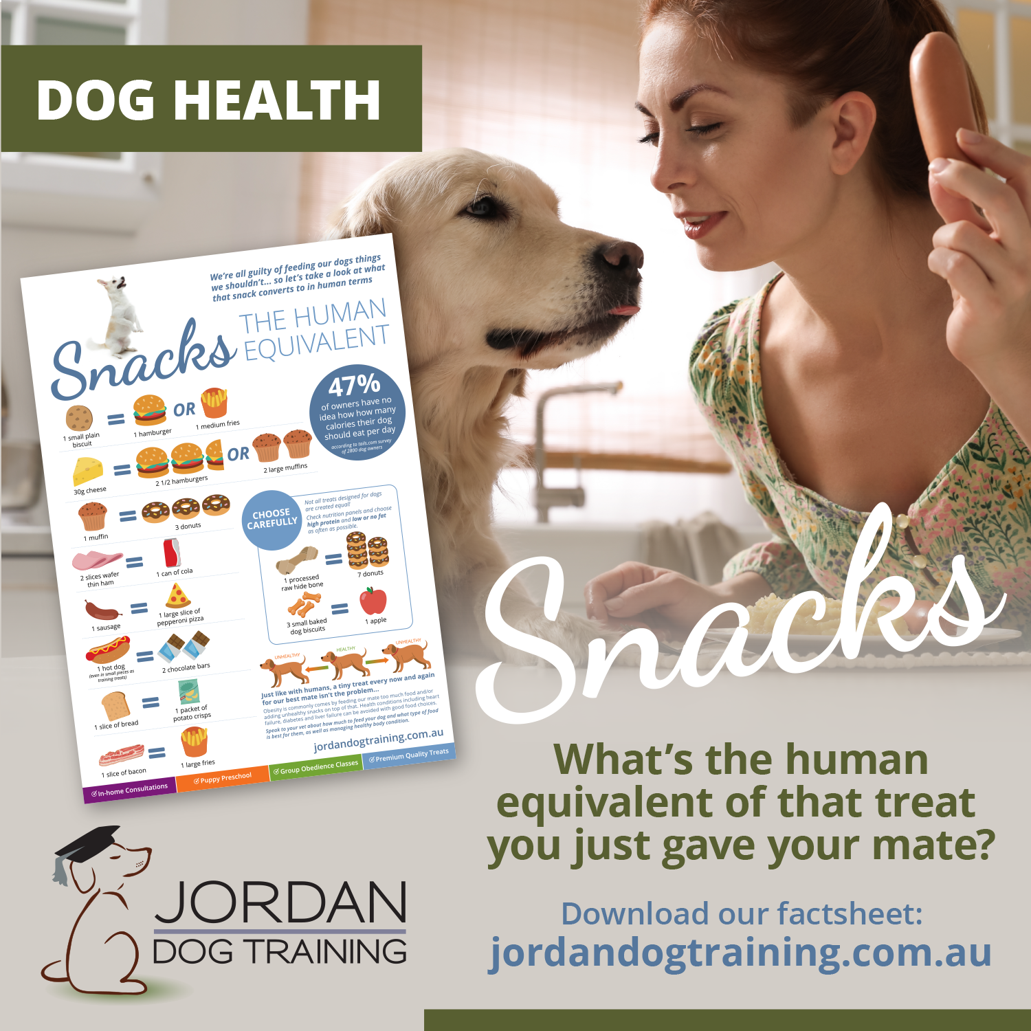 The Surprising Impact of Human Foods on Dogs Jordan Dog Training