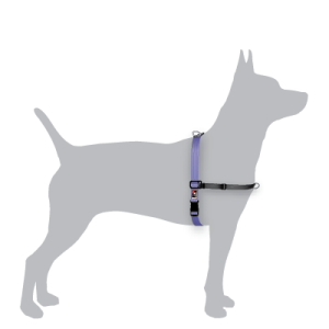 Balance Harness (Blue)