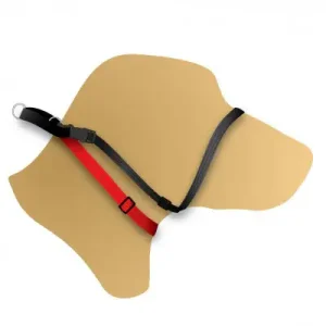 Black Dog Haltermate