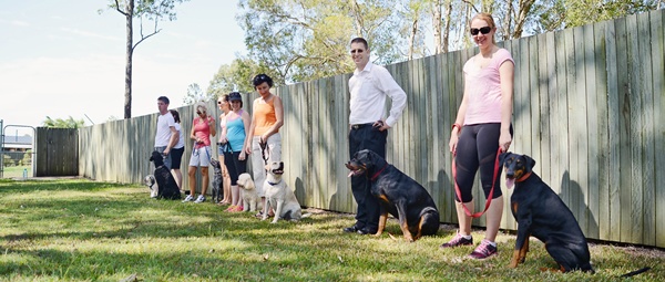 Explore Jordan Dog Training group obedience classes