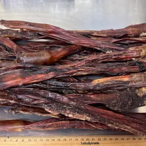 Whizzers (Beef Steer Pizzles) - 1kg bag