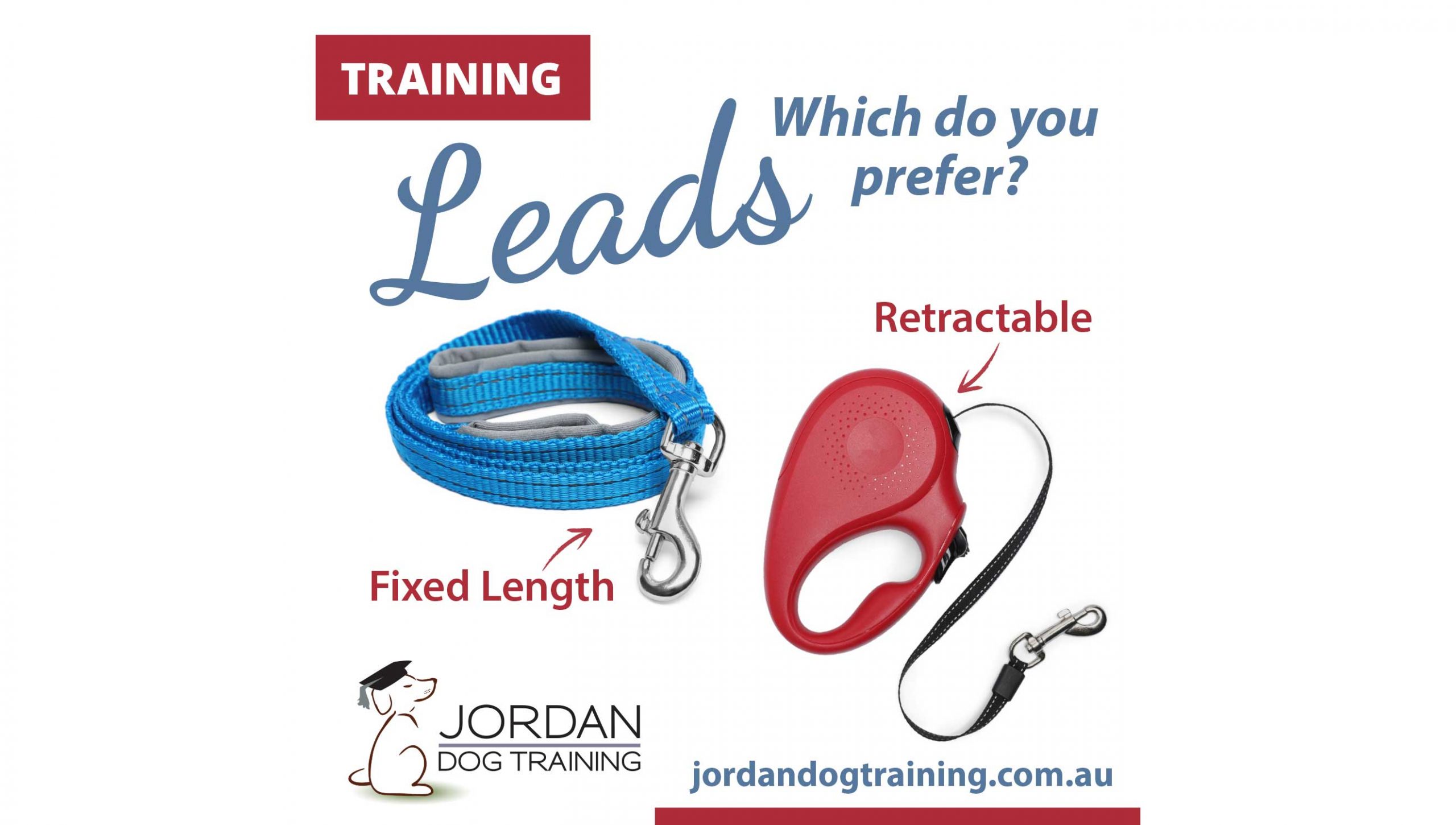 Fixed-length and retractable dog leads shown side by side