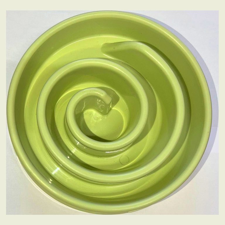 Green slow feeder dog bowl with a spiral channel viewed from above